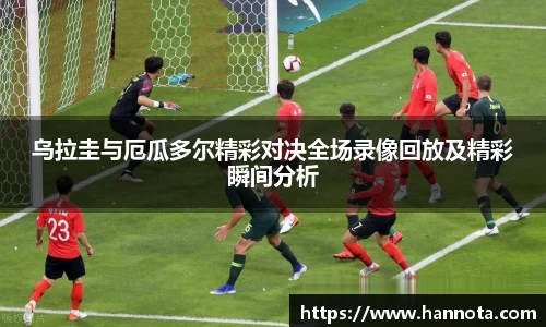 VSport - 胜利因您更精彩